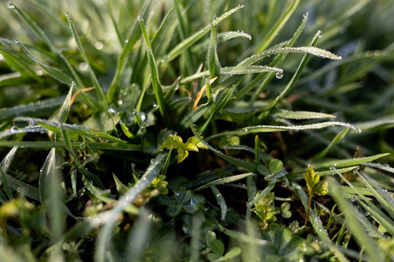 Выходные в Муранове