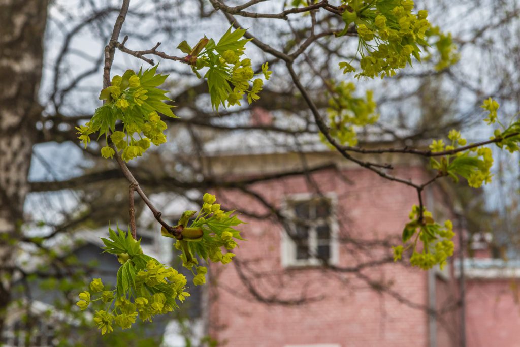 Выходные в Муранове