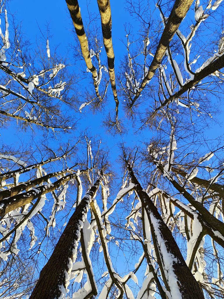 Выходные в Муранове