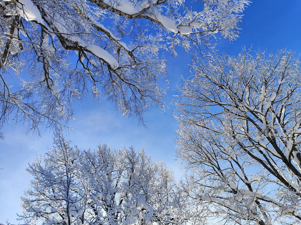 Выходные в Муранове, 21, 22 и 23 февраля