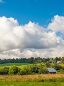 Художественный мастер-класс «Мурановский пейзаж акрилом на камнях»