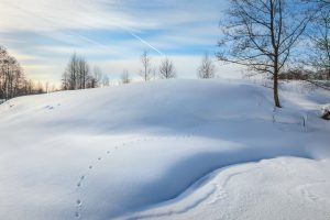 Подтверждайте льготы при помощи Цифрового ID