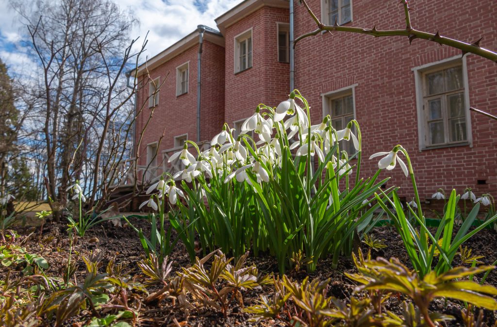 Майские праздники: режим работы музея Мураново