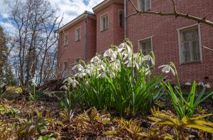 Майские праздники: режим работы музея Мураново